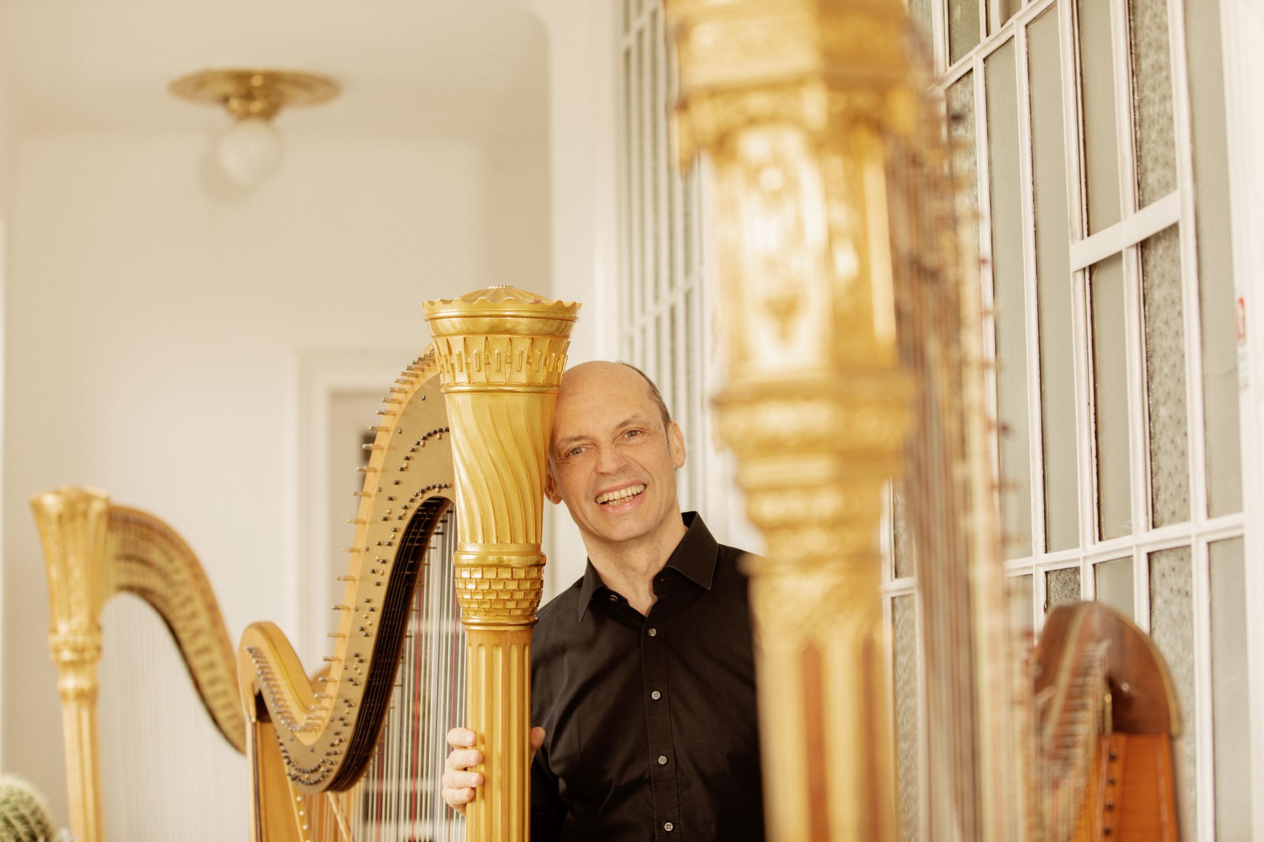 Wiener Symphoniker - Harfenworkshop mit Volker Kempf